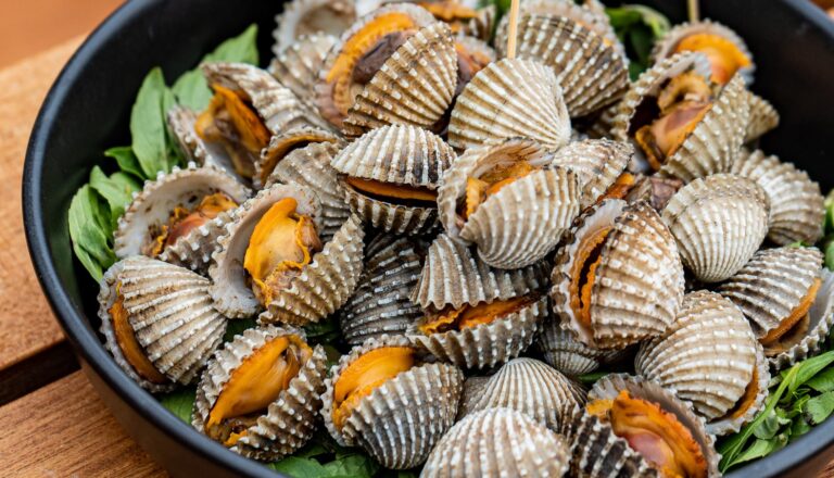 Read more about the article หอยแครง เนื้อแดงเด้งกรุบ อาหารทะเลชื่อคุ้นหู เมนูจานโปรดของใครหลายคน  !