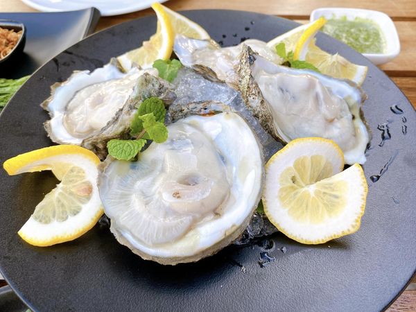 Read more about the article Oysters in Surat Thani must try once!