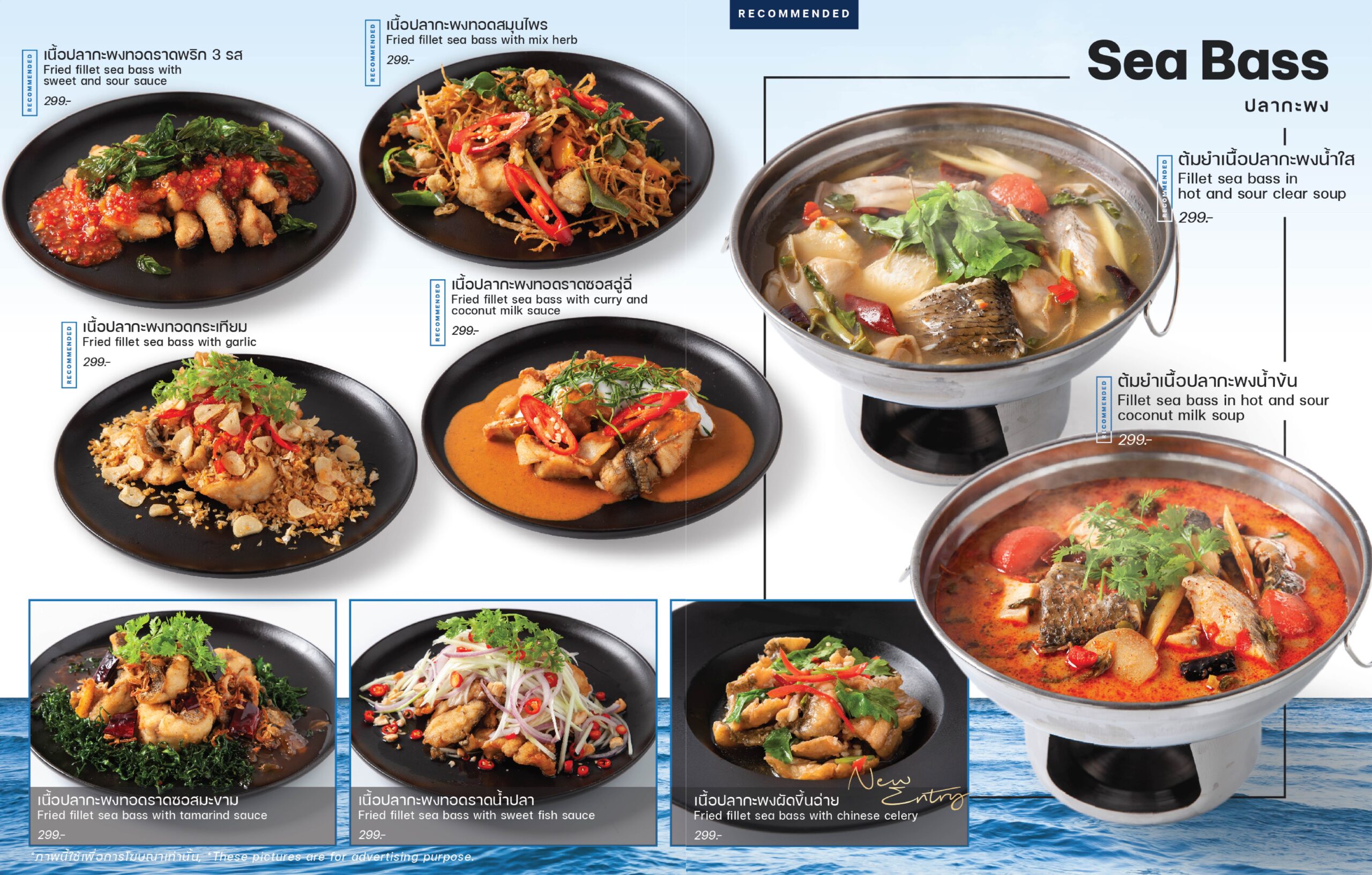 terrace seafood menu 18092023-11