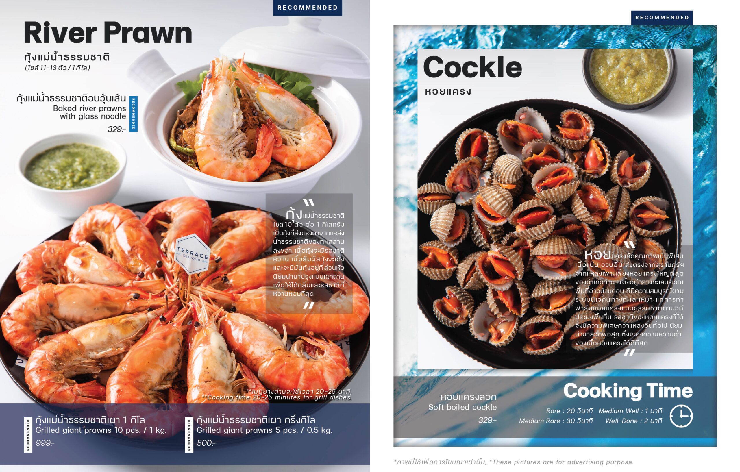 terrace seafood menu 18092023-12